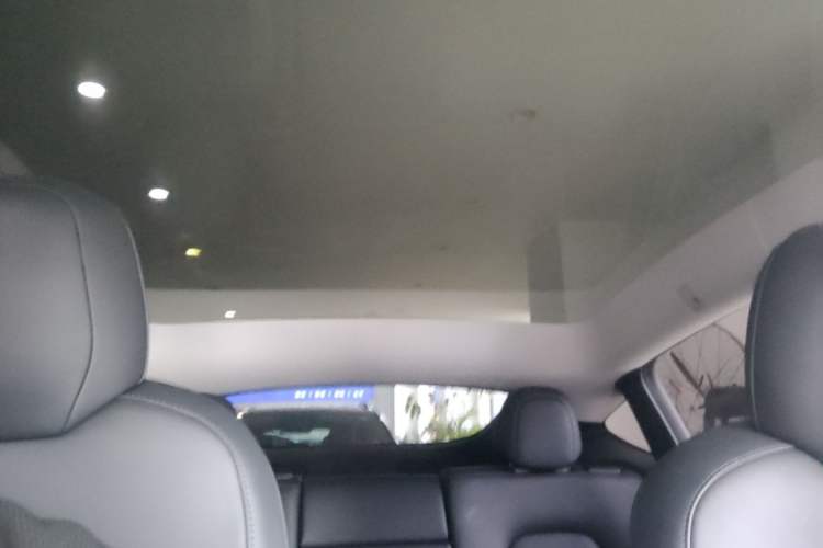 Used Tesla Model Y 2021 Long-Range All-Wheel-Drive Version Headliner