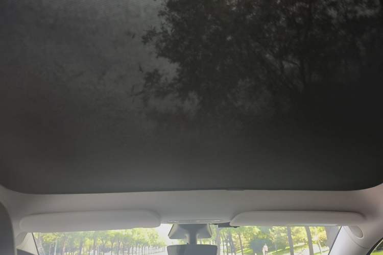 Used Tesla Model Y 2021 Standard Range Rear-Wheel Drive Version Headliner