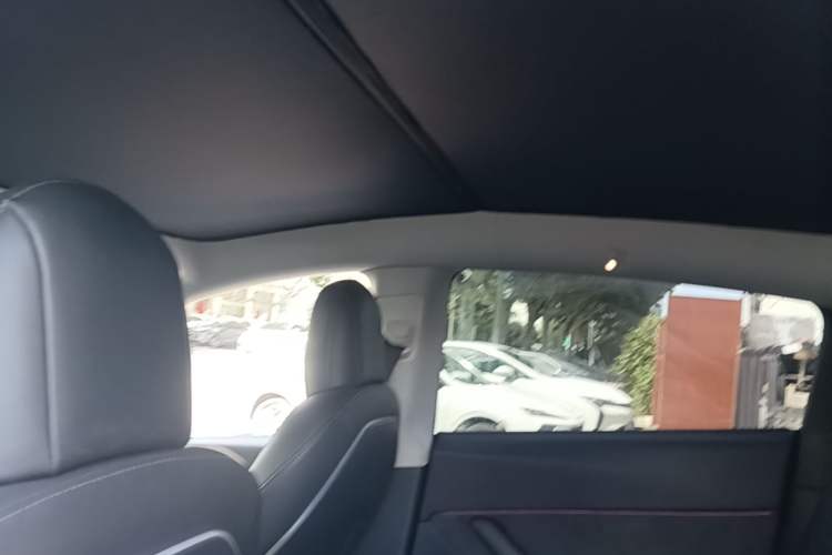 Used Tesla Model Y 2021 Standard Range Rear-Wheel Drive Version Headliner