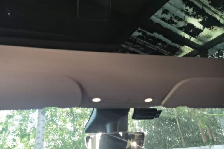 Used Tesla Model Y 2021 Standard Range Rear-Wheel Drive Version Headliner