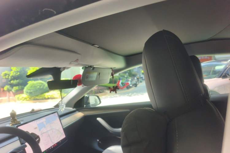 Used Tesla Model Y 2021 Standard Range Rear-Wheel Drive Version Headliner