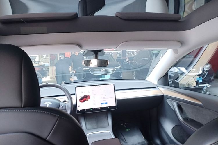 Used Tesla Model Y 2021 Standard Range Rear-Wheel Drive Version Headliner