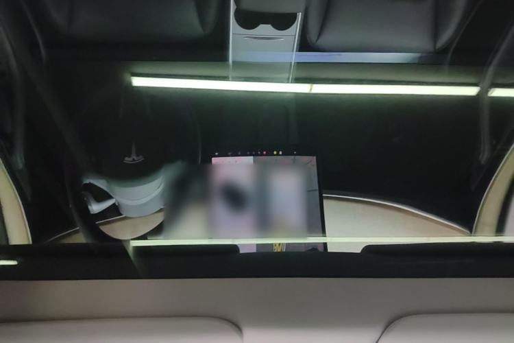 Used Tesla Model Y 2021 Standard Range Rear-Wheel Drive Version Headliner