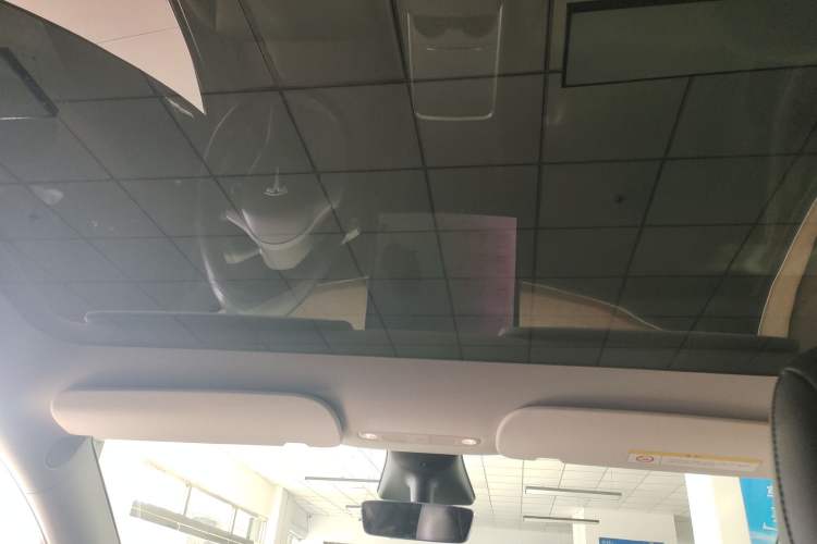 Used Tesla Model Y 2021 Standard Range Rear-Wheel Drive Version Headliner