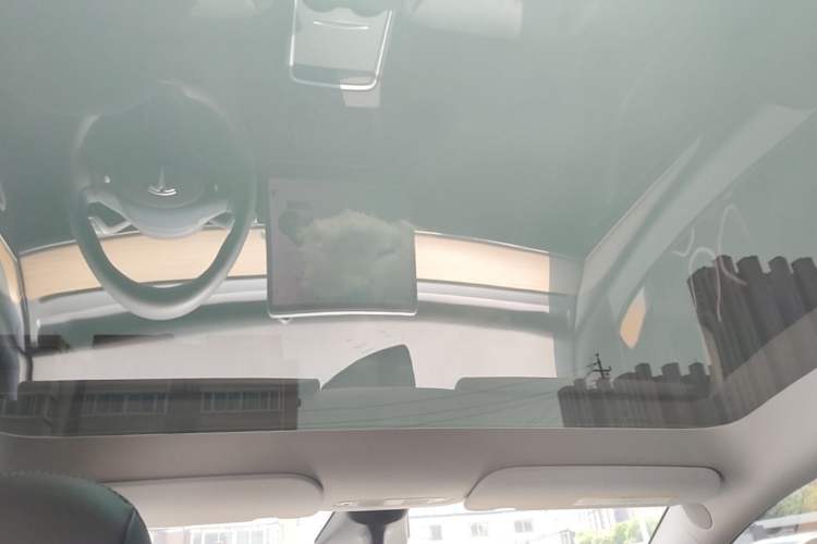 Used Tesla Model Y 2021 Standard Range Rear-Wheel Drive Version Headliner