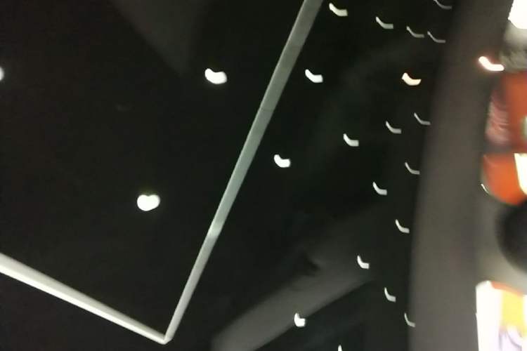 Used Tesla Model Y 2021 Long-Range All-Wheel-Drive Version Headliner