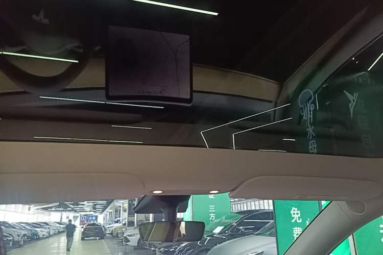Used Tesla Model Y 2021 Standard Range Rear-Wheel Drive Version Headliner
