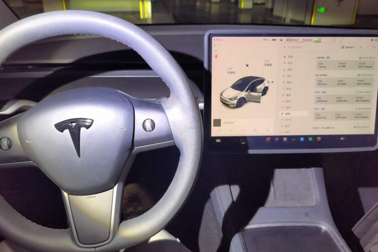 Used Tesla Model Y 2021 Standard Range Rear-Wheel Drive Version Instrument Cluster