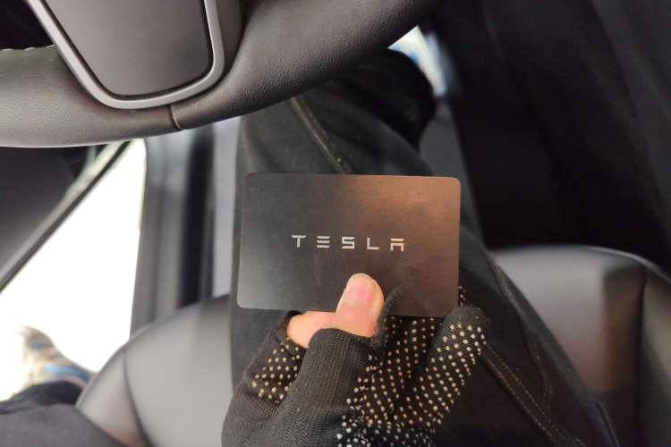 Used Tesla Model Y 2021 Standard Range Rear-Wheel Drive Version Interior 1