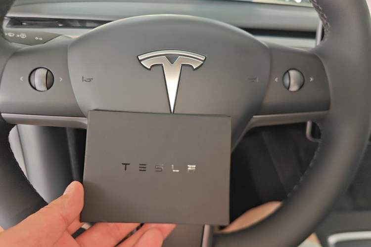 Used Tesla Model Y 2021 Standard Range Rear-Wheel Drive Version Interior 1