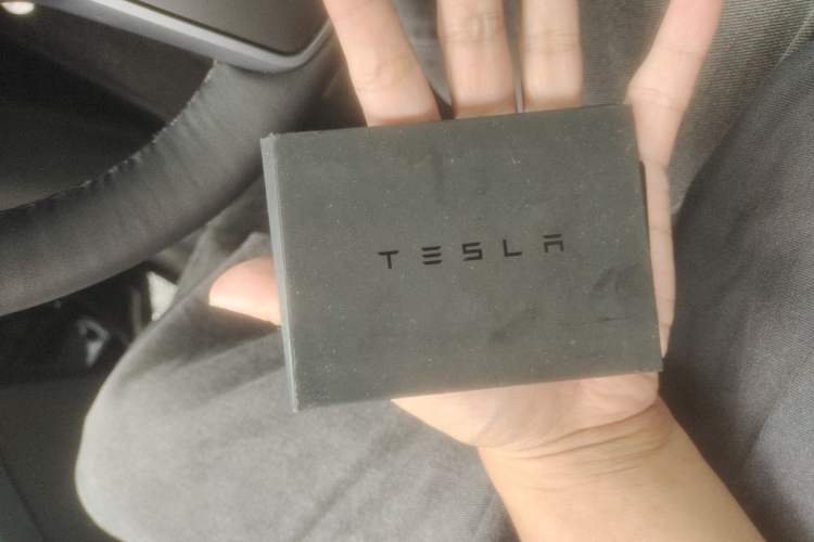Used Tesla Model Y 2021 Standard Range Rear-Wheel Drive Version Interior 1