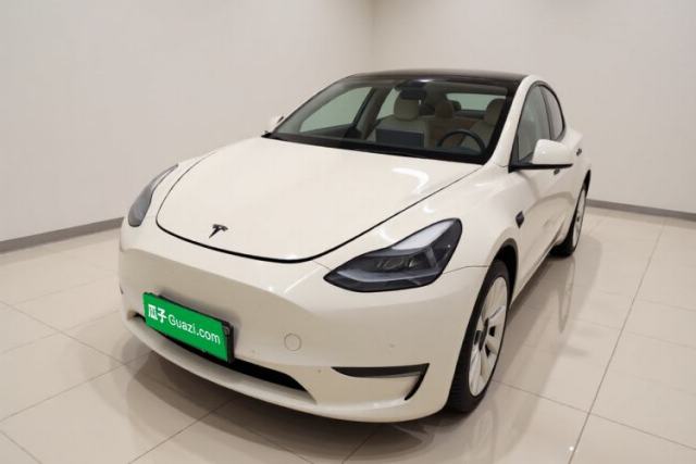 Used Tesla Model Y 2021 Long-Range All-Wheel-Drive Version