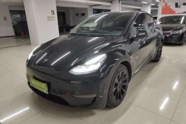 Tesla Model Y 2021 Standard Range Rear-Wheel Drive Version usado