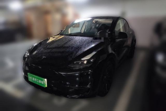 Tesla Model Y 2021 Standard Range Rear-Wheel Drive Version usata