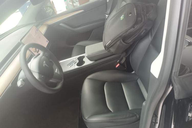 Used Tesla Model Y 2021 Standard Range Rear-Wheel Drive Version Left Front Seat