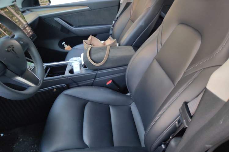 Used Tesla Model Y 2021 Standard Range Rear-Wheel Drive Version Left Front Seat