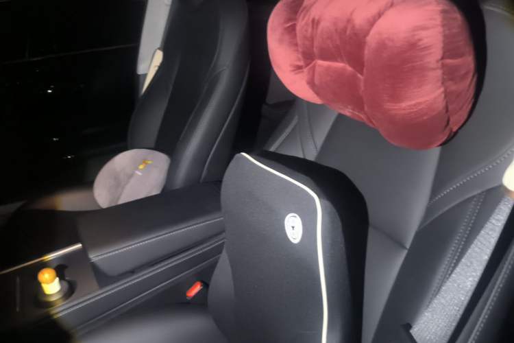 Used Tesla Model Y 2021 Standard Range Rear-Wheel Drive Version Left Front Seat