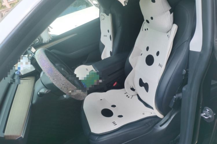 Used Tesla Model Y 2021 Revised Version 2 Long-Range All-Wheel-Drive Edition Left Front Seat