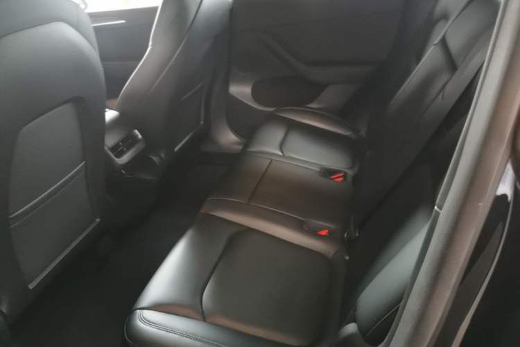 Used Tesla Model Y 2021 Standard Range Rear-Wheel Drive Version Left Rear Seat