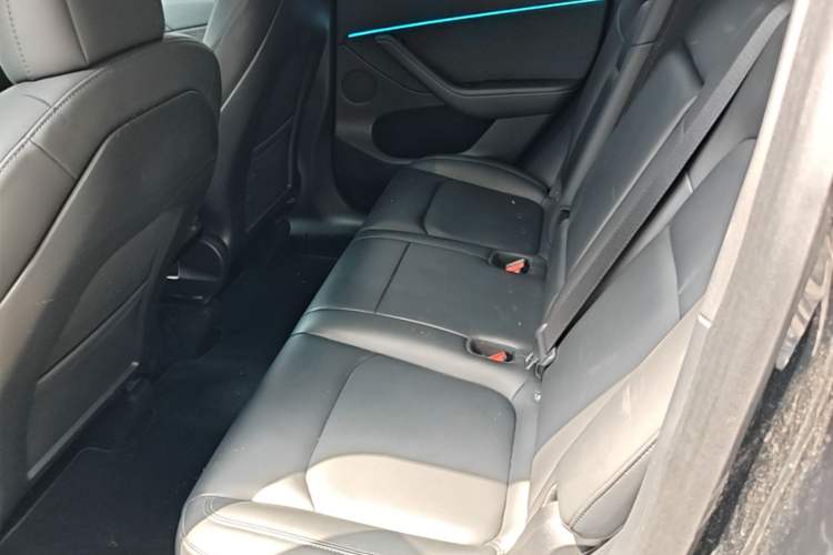 Used Tesla Model Y 2021 Long-Range All-Wheel-Drive Version Left Rear Seat