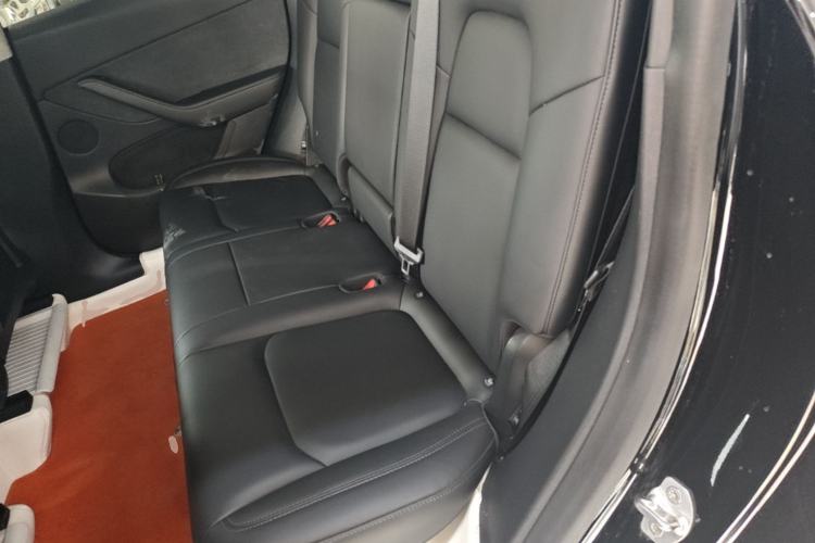 Used Tesla Model Y 2021 Standard Range Rear-Wheel Drive Version Left Rear Seat