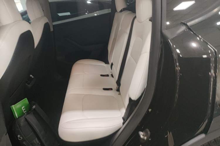 Used Tesla Model Y 2021 Standard Range Rear-Wheel Drive Version Left Rear Seat