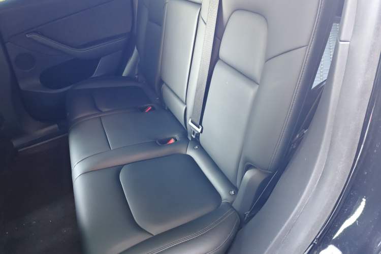 Used Tesla Model Y 2021 Long-Range All-Wheel-Drive Version Left Rear Seat