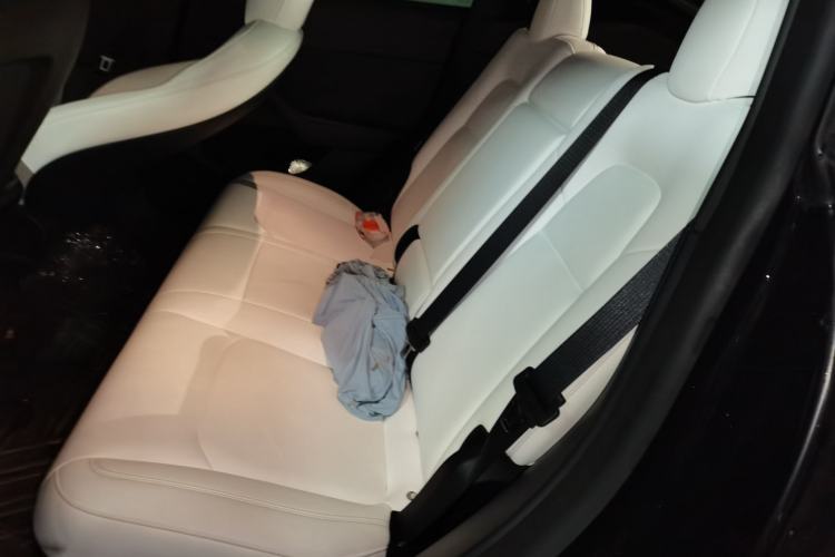 Used Tesla Model Y 2021 Standard Range Rear-Wheel Drive Version Left Rear Seat