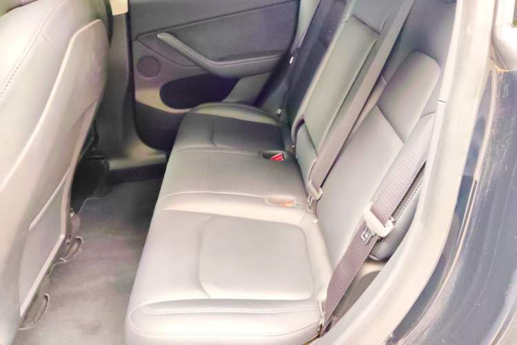 Used Tesla Model Y 2021 Standard Range Rear-Wheel Drive Version Left Rear Seat