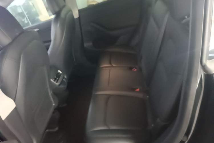 Used Tesla Model Y 2021 Standard Range Rear-Wheel Drive Version Left Rear Seat