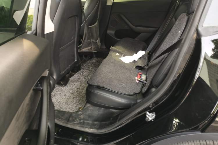 Used Tesla Model Y 2021 Standard Range Rear-Wheel Drive Version Left Rear Seat
