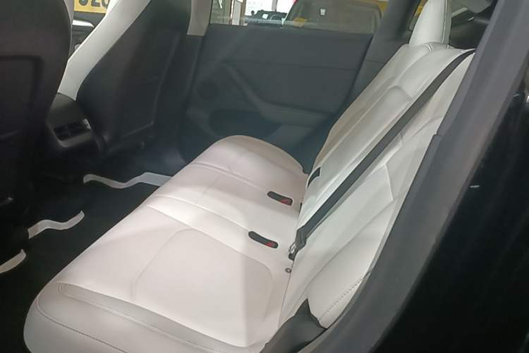 Used Tesla Model Y 2021 Standard Range Rear-Wheel Drive Version Left Rear Seat