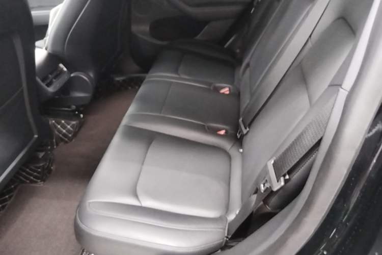 Used Tesla Model Y 2021 Standard Range Rear-Wheel Drive Version Left Rear Seat