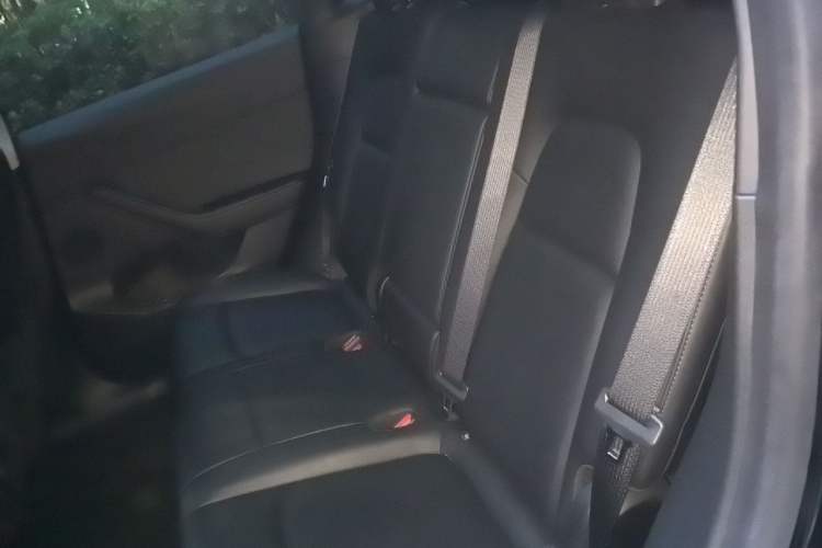 Used Tesla Model Y 2021 Standard Range Rear-Wheel Drive Version Left Rear Seat