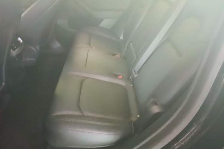 Used Tesla Model Y 2021 Standard Range Rear-Wheel Drive Version Left Rear Seat