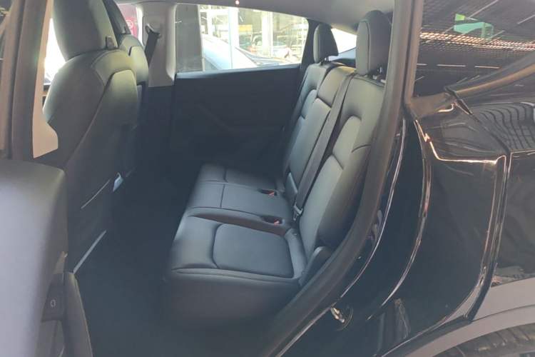Used Tesla Model Y 2021 Standard Range Rear-Wheel Drive Version Left Rear Seat