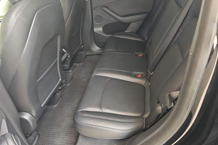 Used Tesla Model Y 2021 Standard Range Rear-Wheel Drive Version Left Rear Seat