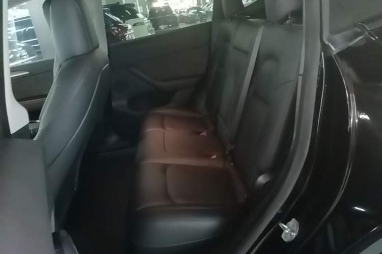 Used Tesla Model Y 2021 Standard Range Rear-Wheel Drive Version Left Rear Seat