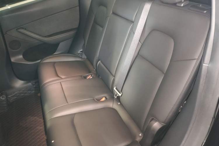 Used Tesla Model Y 2021 Standard Range Rear-Wheel Drive Version Left Rear Seat