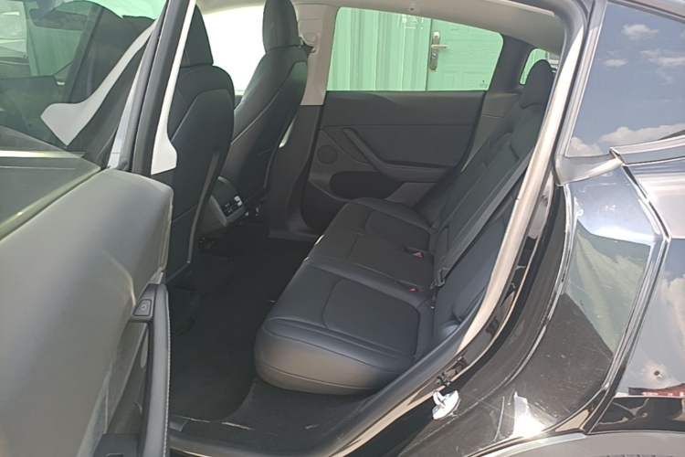 Used Tesla Model Y 2021 Standard Range Rear-Wheel Drive Version Left Rear Seat