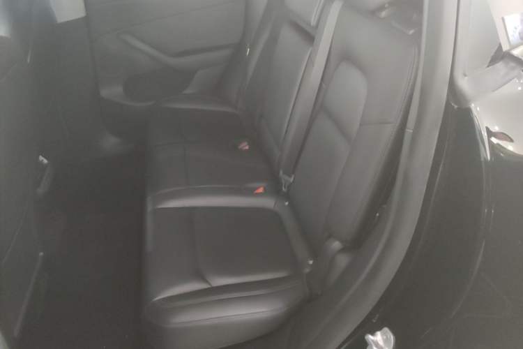 Used Tesla Model Y 2021 Standard Range Rear-Wheel Drive Version Left Rear Seat