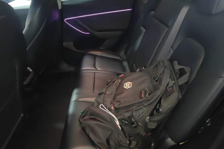 Used Tesla Model Y 2021 Long-Range All-Wheel-Drive Version Left Rear Seat