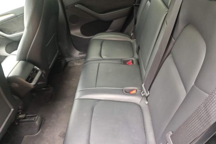 Used Tesla Model Y 2021 Standard Range Rear-Wheel Drive Version Left Rear Seat