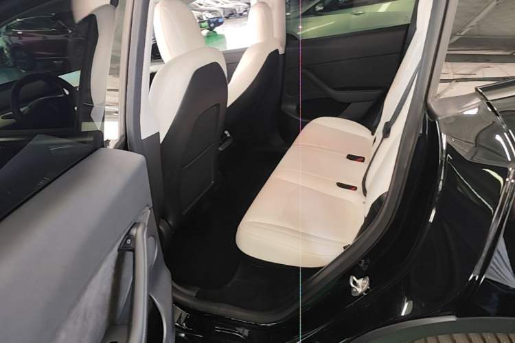 Used Tesla Model Y 2021 Long-Range All-Wheel-Drive Version 3D7 Left Rear Seat