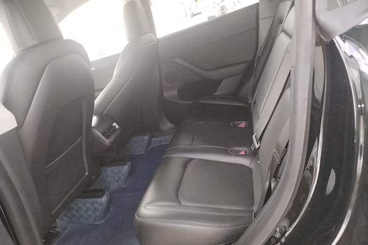 Used Tesla Model Y 2021 Standard Range Rear-Wheel Drive Version Left Rear Seat