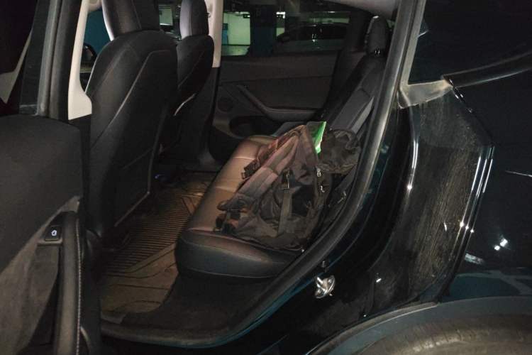 Used Tesla Model Y 2021 Standard Range Rear-Wheel Drive Version Left Rear Seat