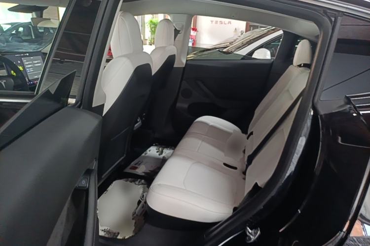 Used Tesla Model Y 2021 Standard Range Rear-Wheel Drive Version Left Rear Seat