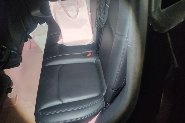 Used Tesla Model Y 2021 Long-Range All-Wheel-Drive Version Left Rear Seat