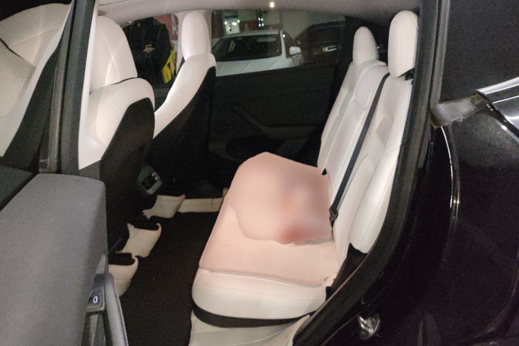 Used Tesla Model Y 2021 Performance High-Performance All-Wheel-Drive Version Left Rear Seat