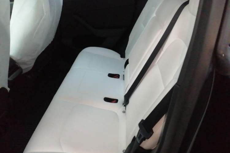 Used Tesla Model Y 2021 Long-Range All-Wheel-Drive Version 3D7 Left Rear Seat